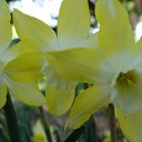 ���� ������, ������, 63 ���� - ��������� 5 ������� 2011 � ������ ������-���� �����....�