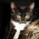 ���� ���������, �����������, 35 ��� - ��������� 16 ������� 2010 � ������ ������