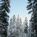  Serzh Van Der Maaremaan,  -  1  2009    