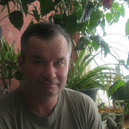 �����, �����, 64 ����