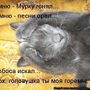 ���� Anatol, ��������, 74 ���� - ��������� 12 ��� 2013 � ������ ���� ����������