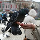 ���� ������, ������, 67 ��� - ��������� 18 ����� 2011 � ������ ���� ����������