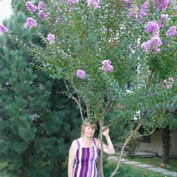  , -, 66  -  17  2012