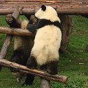 ���� ����. ��������� �� ��!, ������, 72 ���� - ��������� 27 ����� 2011 � ������ ��������߻