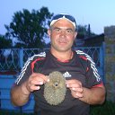 ���� ������, ���������, 49 ��� - ��������� 29 ��� 2012 � ������ �������