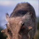 ���� �����, �����, 53 ���� - ��������� 23 �������� 2011 � ������ �������