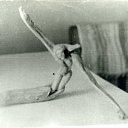 ���� ������� :����� �����!!!, ������������ - ��������� 4 ������� 2012 � ������ �������