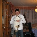 ���� Arcadi, �������, 39 ��� - ��������� 13 ������� 2011 � ������ ���� ����������