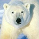 ���� Sergey, ������-�������� - ��������� 9 ������� 2012 � ������ �������