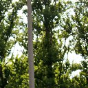 ���� ���, ���������, 37 ��� - ��������� 20 ���� 2013 � ������ ���� ����������