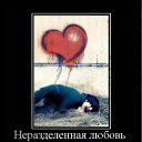 ���� �������, ������ - ��������� 4 ������ 2012 � ������ �������