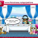 ���� Jeka, �����-���������, 38 ��� - ��������� 2 ������� 2010 � ������ �PetLove�