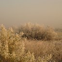 ���� �������, �������, 57 ��� - ��������� 16 ������ 2012 � ������ ����� ������� �����