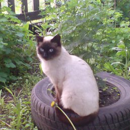 ���� Rusja, ������, 42 ���� - ��������� 9 ������ 2011