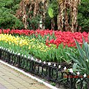 ���� ����, ����, 57 ��� - ��������� 24 ����� 2013 � ������ ������