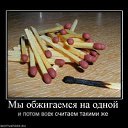   ...),  , 33  -  29  2010    ...)