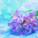 ���� ������, ������, 22 ���� - ��������� 13 ������ 2012 � ������ �������