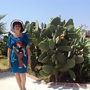 ������ �� ������� ���� ����������