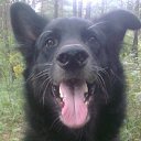 ���� ������ ����������, ����, 70 ��� - ��������� 25 ������� 2011 � ������ ���� ����������