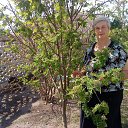 ���� ����, ��������, 68 ��� - ��������� 25 ��� 2013 � ������ ���� ����������