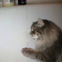 ���� Byaka, ���������, 41 ��� - ��������� 27 ������ 2010 � ������ ���� ������ ����� ������!!!�