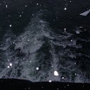 ���� �������, �������, 38 ��� - ��������� 11 ��� 2010 � ������ ���� ����� ����� �������