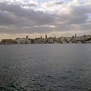  Wenik, , 41  -  23  2010   