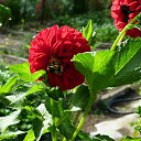 ���� ����, ������ �������� - ��������� 23 ������� 2011 � ������ �������