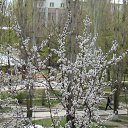 ���� ���� ����, ����������, 50 ��� - ��������� 19 ����� 2010 � ������ ��������� ������!�