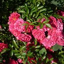 ���� ����@, ��������, 62 ���� - ��������� 5 ���� 2010 � ������ ��������� �������