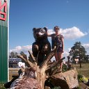 ���� �������, ��������, 39 ��� - ��������� 5 �������� 2012