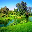 ���� �������, ���������, 35 ��� - ��������� 18 ������� 2009 � ������ ���������