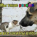  ,  -  24  2011   