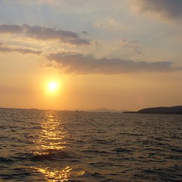 ���� ���, ��������� - ��������� 24 ������ 2011