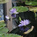 ���� ����� - ���������� ��������!!!, �����������, 56 ��� - ��������� 10 ������ 2010 � ������ ������� �����