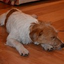 ���� Leonid, �����-���������, 39 ��� - ��������� 27 ���� 2012 � ������ ������