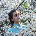 ���� -������ ��������-, ������� - ��������� 13 ������� 2008 � ������ ���� ����������