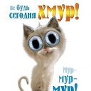 ���� ����, �����-���������, 56 ��� - ��������� 2 ������� 2009 � ������ �������