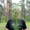 ���� ������, ���������, 50 ��� - ��������� 14 ������� 2010 � ������ ���� ����������