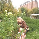 ���� ������, ������ - ��������� 14 ����� 2013 � ������ ���� ����������