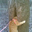 ���� �������, �����, 39 ��� - ��������� 2 ������ 2009 � ������ ��������� �����