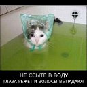 ���� �������, ������, 39 ��� - ��������� 23 ������� 2010 � ������ ��������������