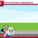  , , 27  -  11  2011   PetLove