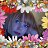 ���� ����, ��������, 43 ���� - ��������� 3 ���� 2013