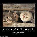 ���� Sveta, ������, 51 ��� - ��������� 9 ������ 2012 � ������ ��������
