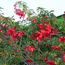 ���� ������, ������ - ��������� 20 ���� 2012 � ������ �������