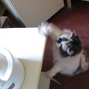 ���� ���, ������������ - ��������� 24 ������ 2012 � ������ ������