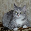 ���� ������� �., �����������, 53 ���� - ��������� 1 ������� 2011