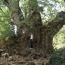 ���� �����, ����, 37 ��� - ��������� 14 ������� 2012 � ������ ���� ����������