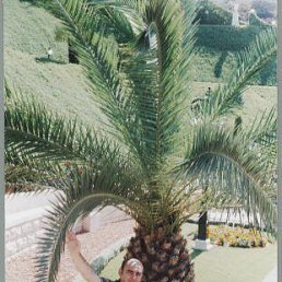 Igor, ����� ���, 58 ���
